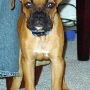 Such a Handsome Boy!