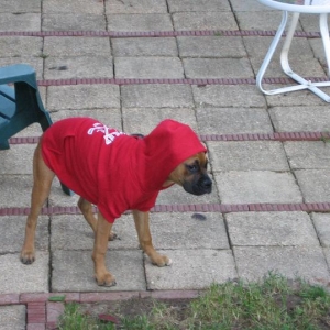 Hey there Little Red Riding Hood......