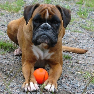 Ester and her ball