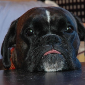 Pippis on the table