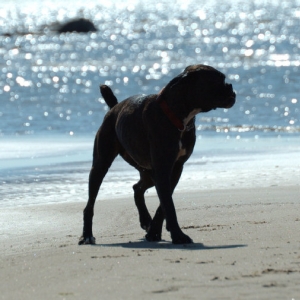 Pippis on the beach