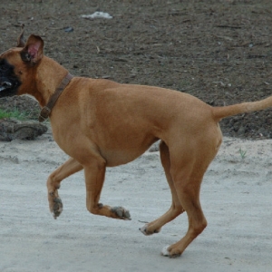 Alex speeding on the beach