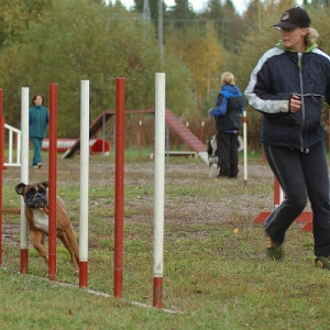 Training agility