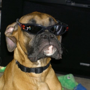 Kool Krush