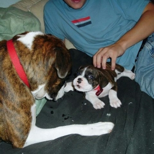 Kynd and Doja's 1st meeting....