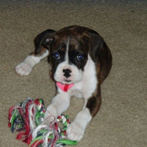 Doja playing with her rope.....