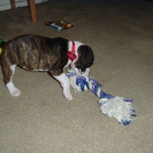 This rope is bigger than she is!
