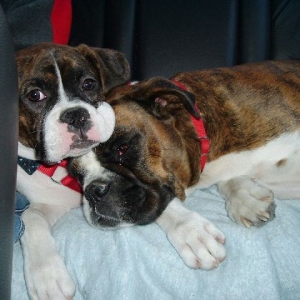 Look at these sweet girls