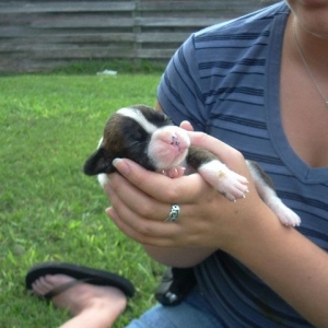 Holding my sweet girl, approx 2 weeks old