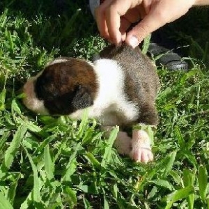 Teeny Baby D