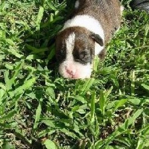 Doja looking like a guinea pig, but still oh so gorgeous