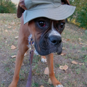 I hate my hat!