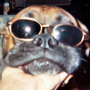 tn_I_m_so_cool_