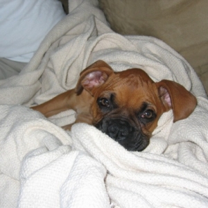 Sleep
