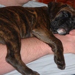 Sleep Time