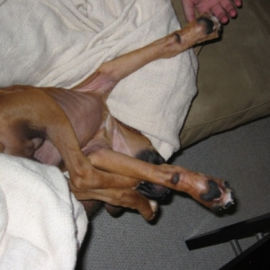 Sleeping