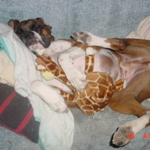 Nap time