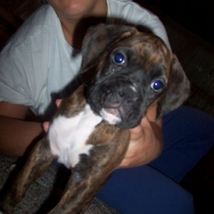 Max_7_weeks
