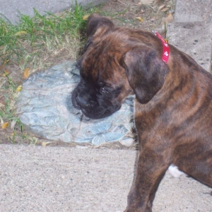 Profile1