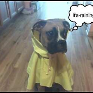 My new rain coat