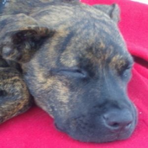 Sophie  Camping