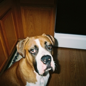 Waiting for Dinner