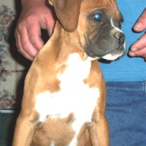 My Isabelle at 3 months