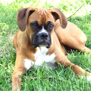 Isabelle at 6 months