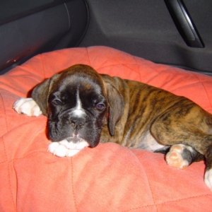 vilma_sleeping