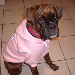 Lola in hoody