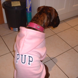 Cool Lola