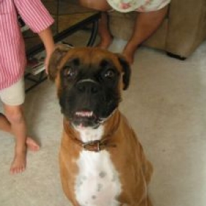 Bailey