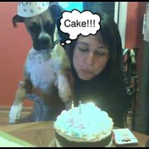 Laila_eyeing_the_cake