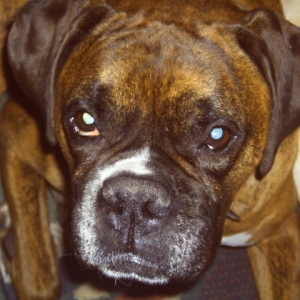 Riley