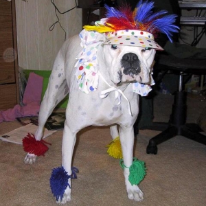 Trying Out Halloween Costumes