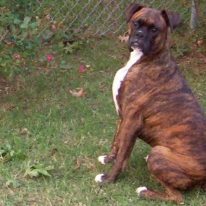 this is my good side