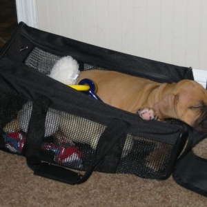 Lemme just take another nap before we go