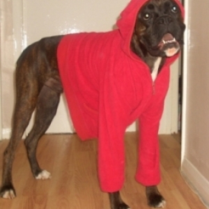 santa