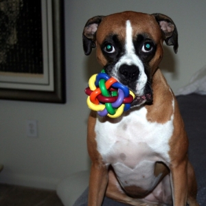 My_New_Ball