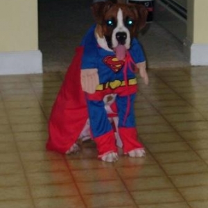 Jackson in his Halloween costume