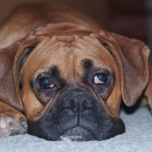 Pouting Foreman