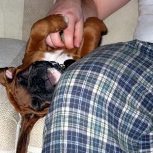 Enzo with Daddy