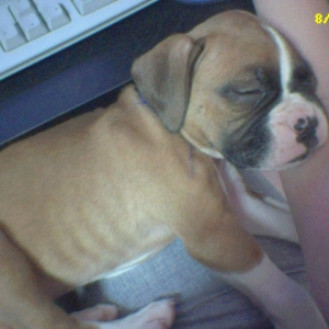 BabyBaby