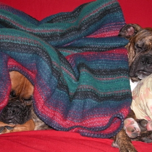 lazybones