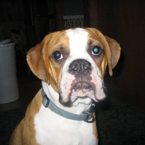 bruno posing for camera