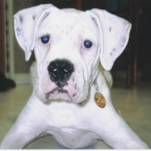 duke being cute