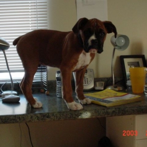 Busted!!!