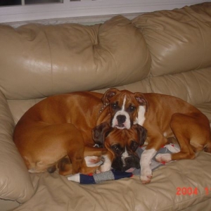 sleeping babies