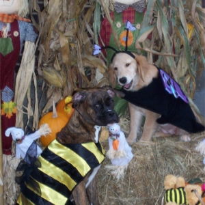 Happy Halloween!