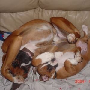 playtime
